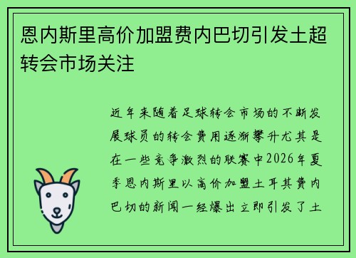 恩内斯里高价加盟费内巴切引发土超转会市场关注 恩内斯里高价加盟费内巴切引发土超转会市场关注